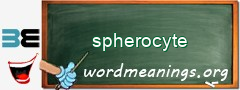 WordMeaning blackboard for spherocyte